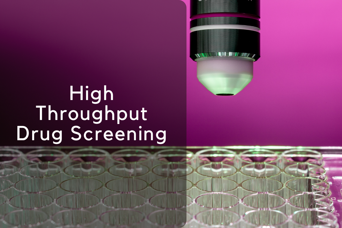 High Throughput Drug Screening