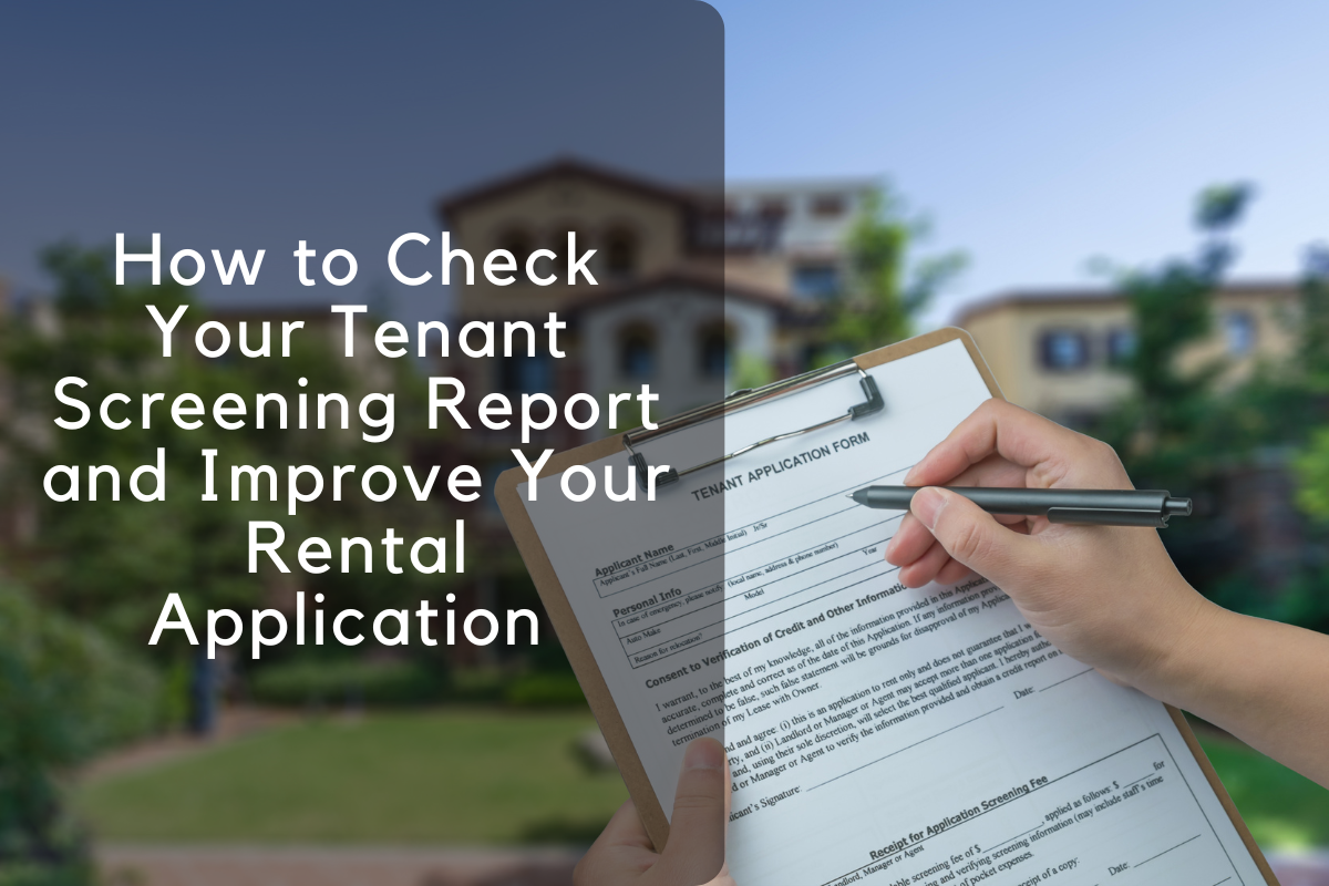 How to Check Your Tenant Screening Report and Improve Your Rental Application