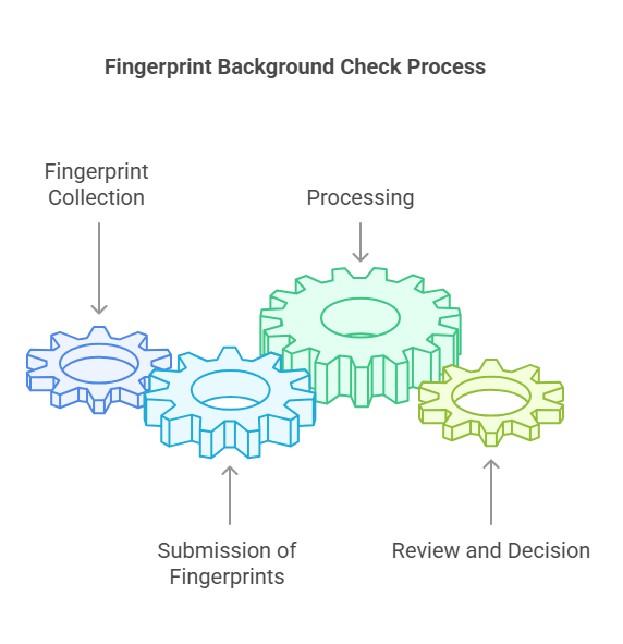 The Fingerprint Background Check Process