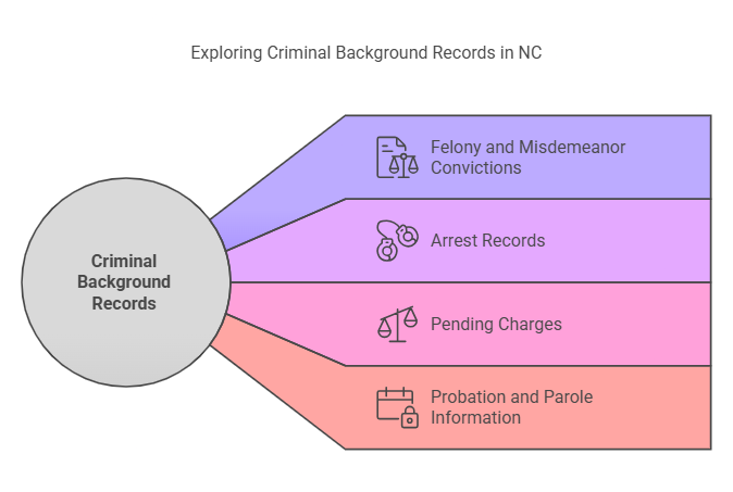 Types of Criminal Records Checked in a Criminal Background Search in NC