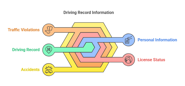 What Information is Included in Your Driving Record