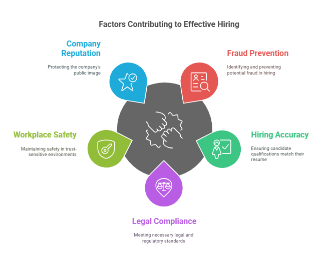 Why is Employment Verification Important
