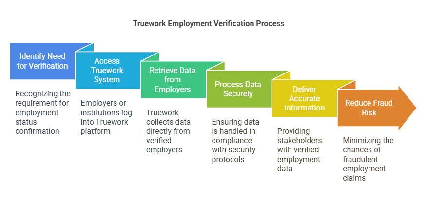 Why is Truework Employment Verification Important