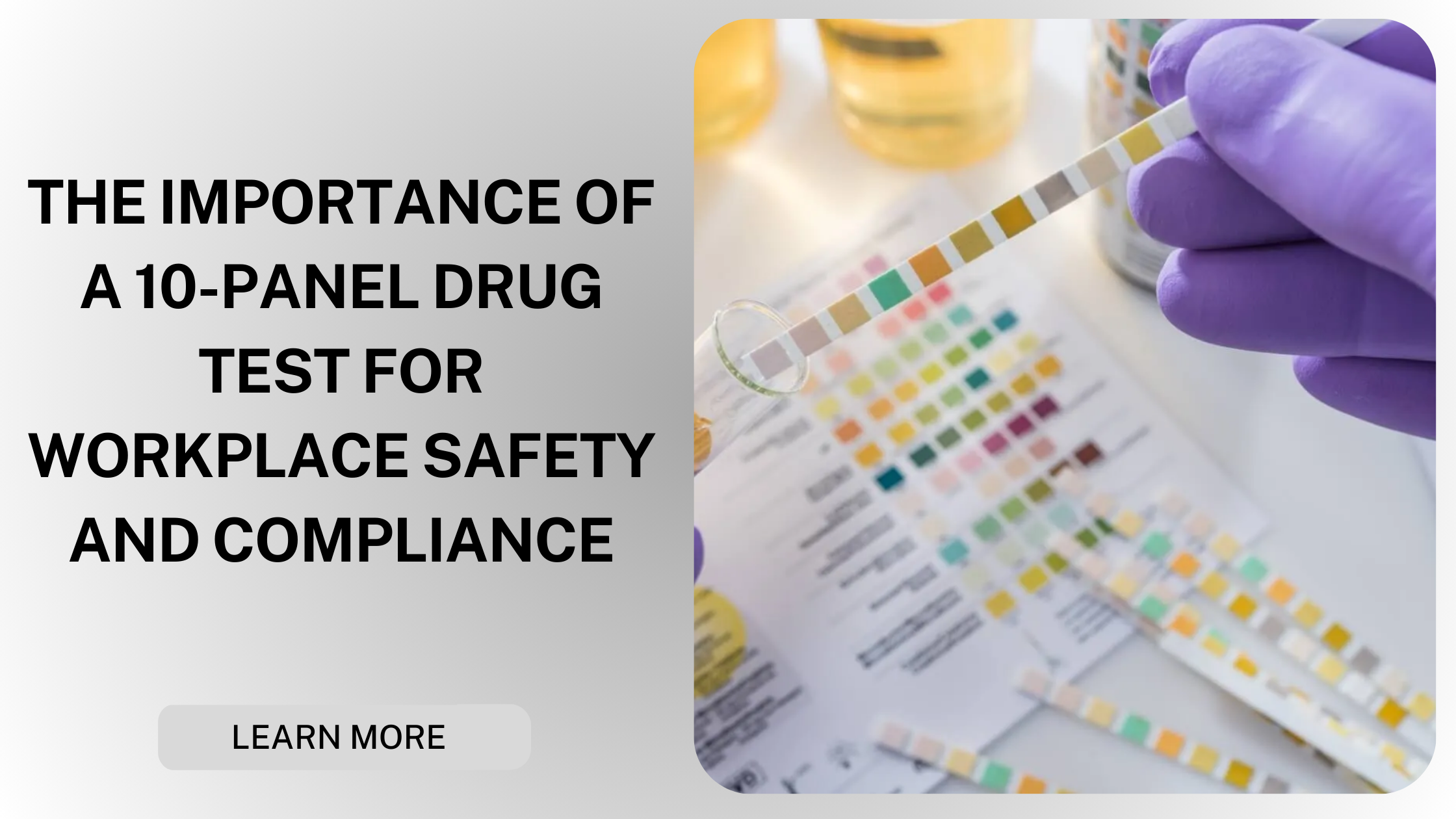 10-Panel Drug Testing A Key Component of Workplace Safety and Compliance