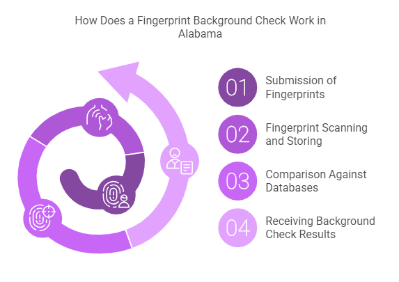 How Does a Fingerprint Background Check Work in Alabama