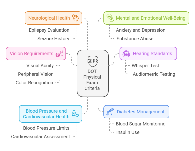 Key Criteria for Passing a DOT Physical Exam