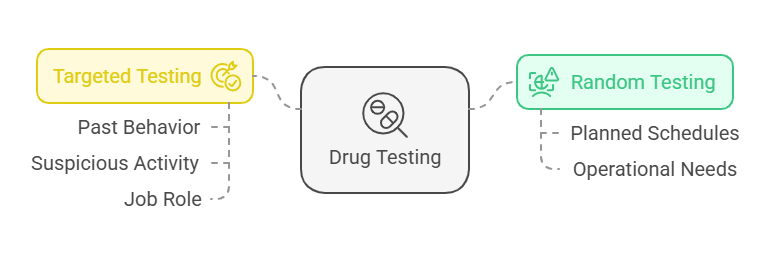 Targeted vs. Random Testing