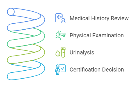 The DOT Physical Exam Process