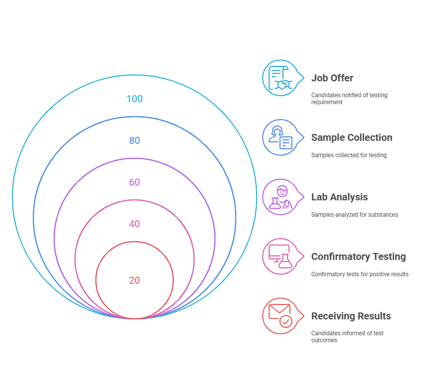 The Process and Benefits of Pre-Employment Drug Testing