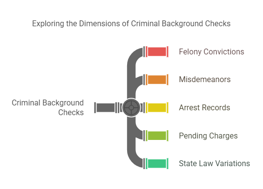 The Role of Criminal Background Checks in Hiring