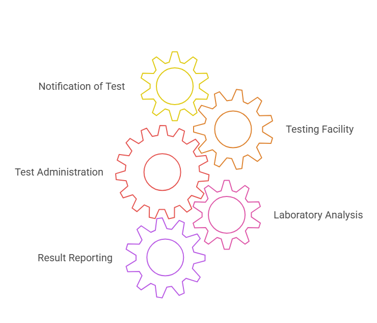 The Steps Involved in a DOT Drug Test