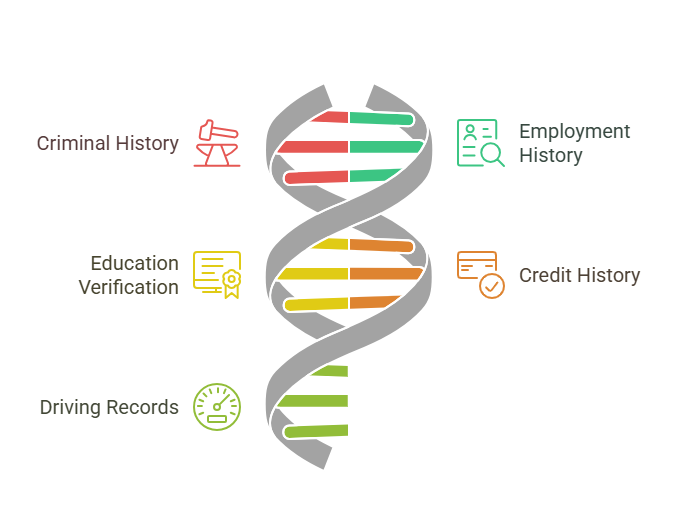 Types of Information Revealed in a Background Check in California