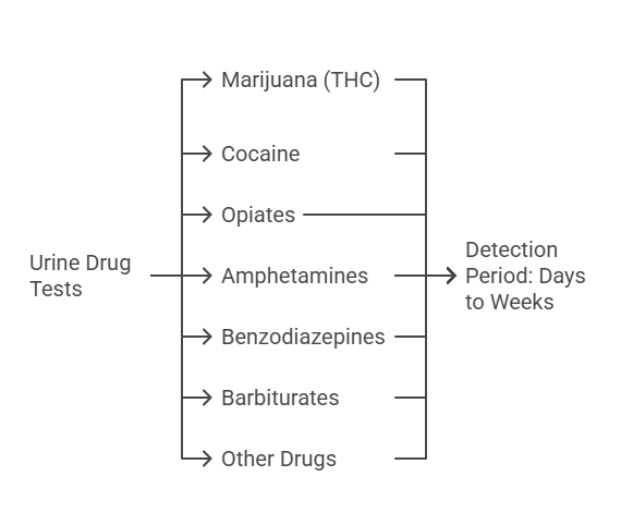 Types of Substances Tested in Urine Drug Tests