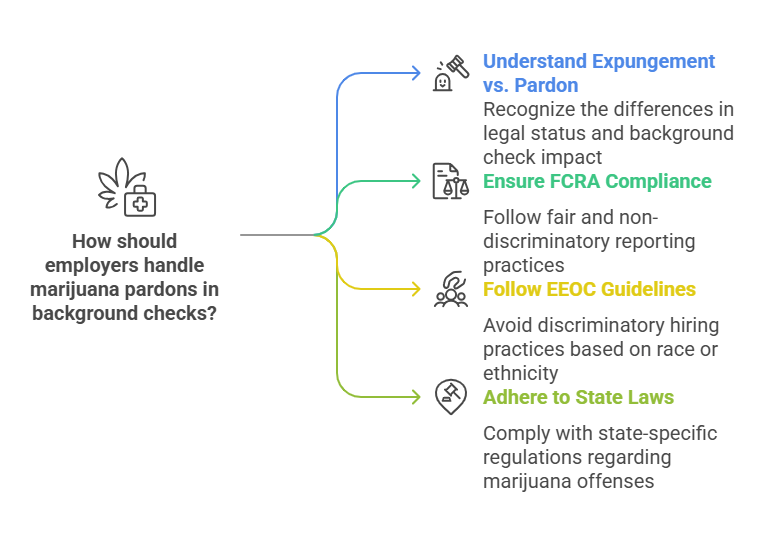 Legal Aspects of Marijuana Pardons in Background Checks