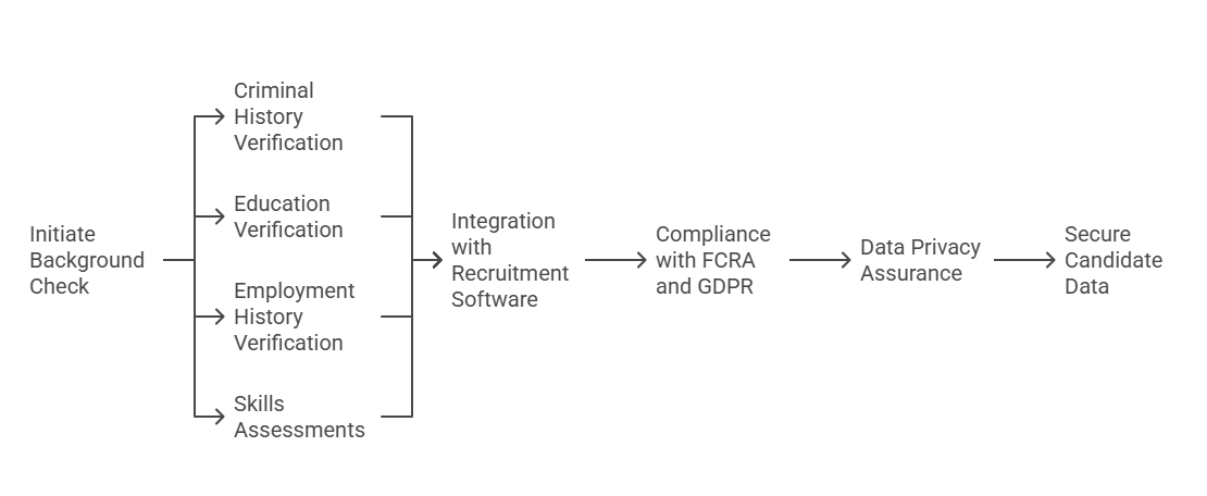 Overview of RapidHireSolutions Services for Tech Hiring